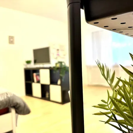 With 2 Balconies In Appartement *