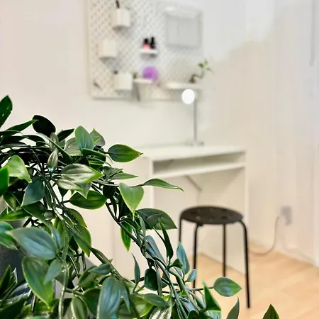 Appartement With 2 Balconies In
